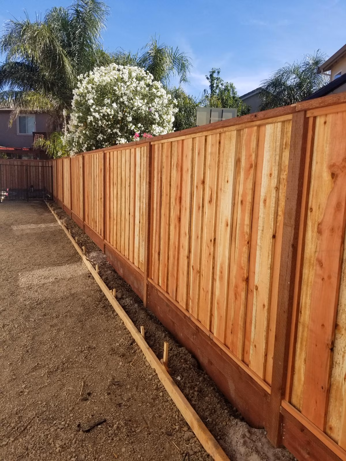 New cedar wood privacy fence with framed vertical boards and horizontal support rails installed along a residential backyard.